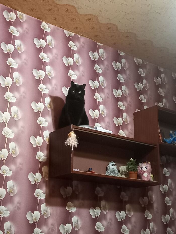 Наблюдательное