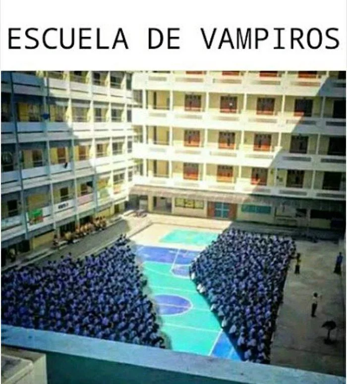Vampire School - Vampires, School, Shadow, Amazing, Heat, Picture with text