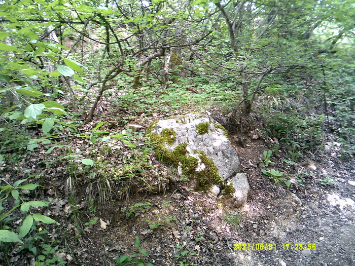 ������ ����