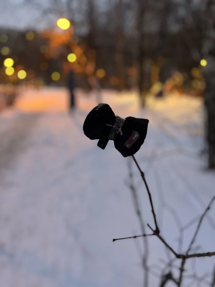 Russian Existentialism - My, Mittens, Winter, The photo