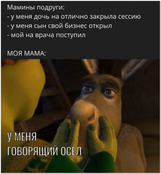 Anti-demotivator - Associations, Shrek Donkey, Picture with text