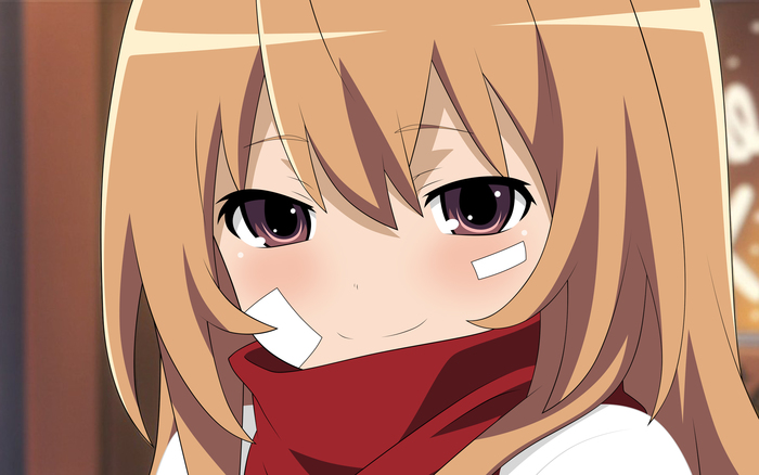 ,    Toradora, , 2D, , , , Aisaka Taiga