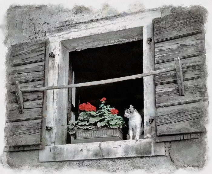 Window, geranium and cat ))) - My, Time travel, Postprocessing, Observation, The photo, Street photography, cat, Nostalgia