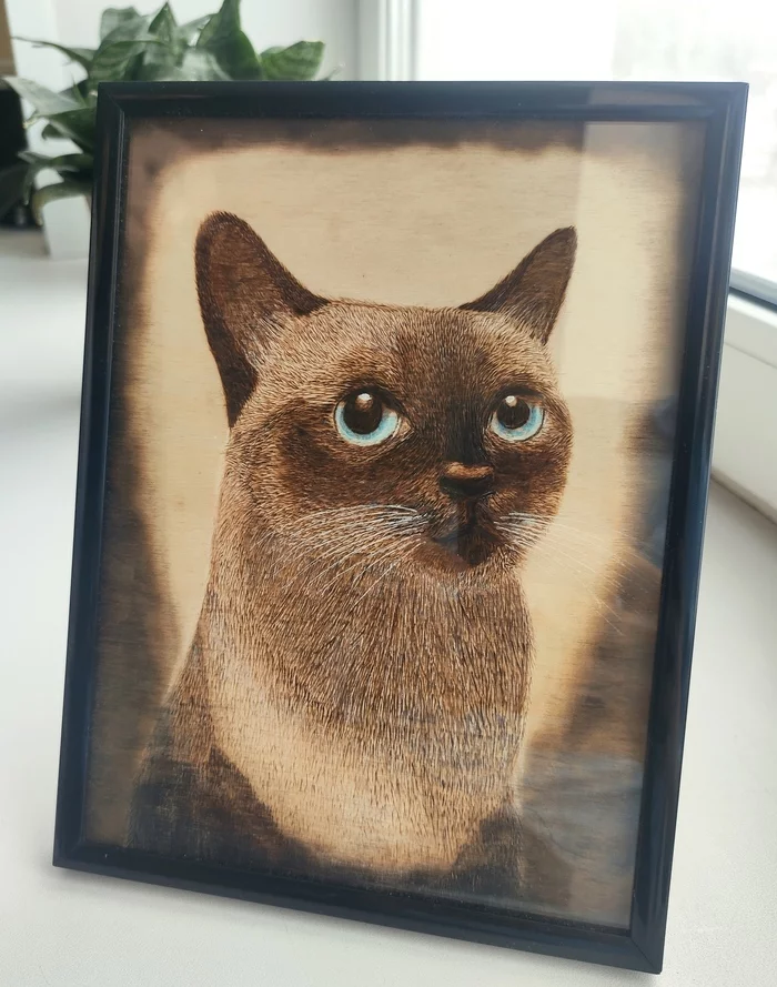 Woodburning - My, cat, Friday tag is mine, Pyrography, Longpost