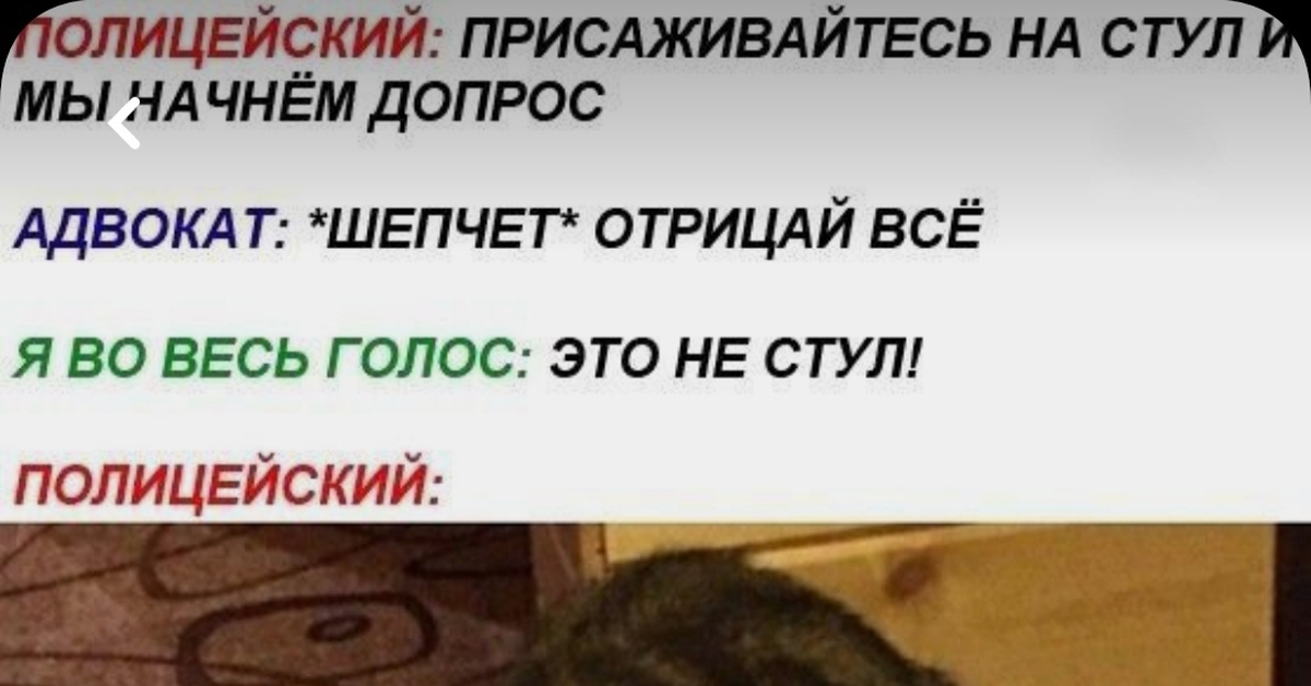 Все отрицай это не стул