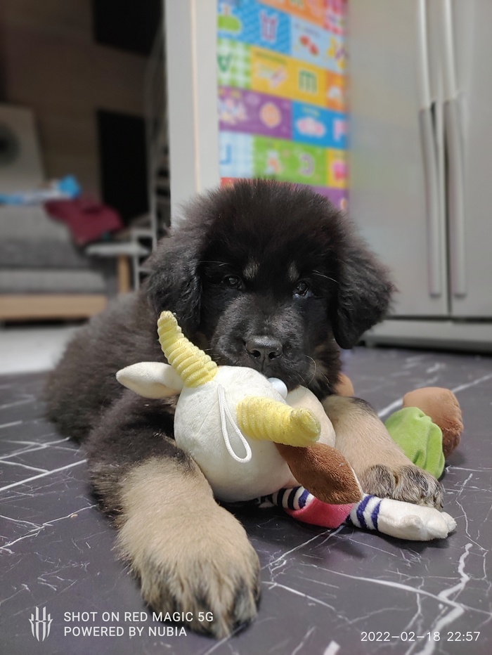 Нам 2 месяца и 10 дней