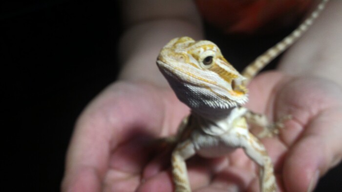     : ,       .    ,   &quot;&quot;  