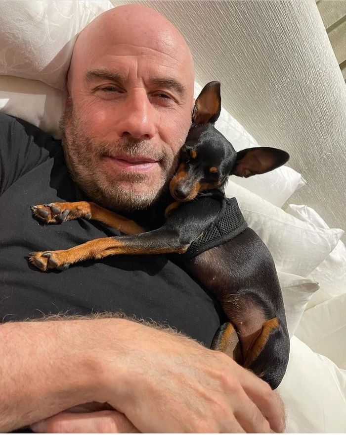 ���� � ���������� ����������� � ���� �������� ����� ��������