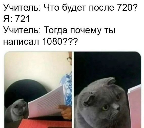 The error came out - Teacher, Permission, 720p, 1080p, Error, Mathematics, Humor, Memes, cat, Picture with text