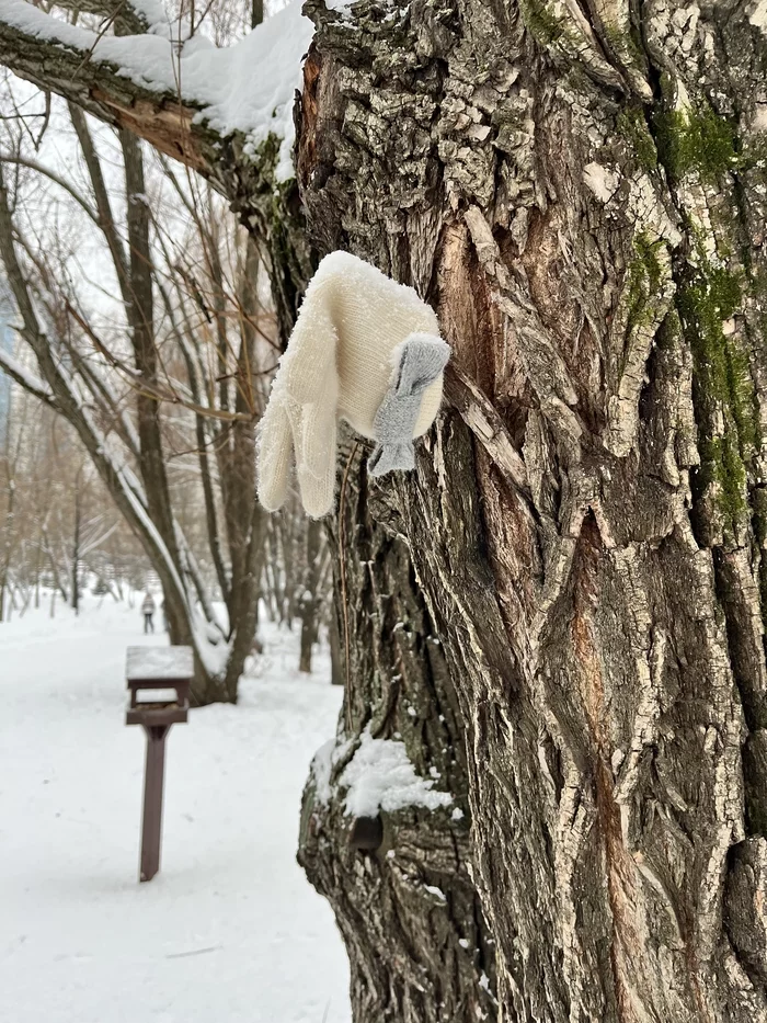 Russian Existentialism - My, Russian, Existentialism, Winter, Tree