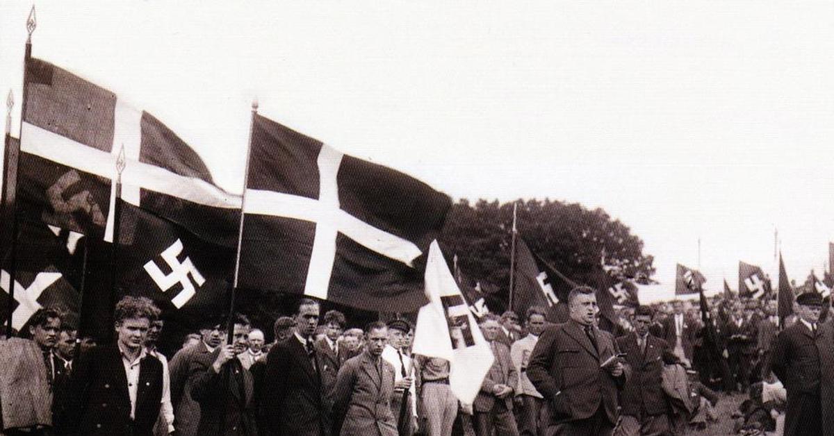 Национальная рабочая партия. Национал Социалистическая партия Швеции. Национал-Социалистическая партия Швеции 1930. Национал-Социалистическая рабочая партия Дании. Национал-Социалистическая партия Германии 1930 годы.