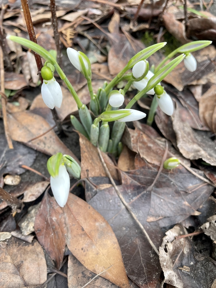 Не важно, какая дата на календаре сегодня.. Весна пришла