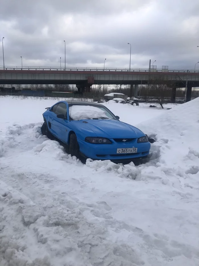 Сила Пикабу! Потеряшка! Санкт-Петербург - Моё, Потеряшка, Авто, Санкт-Петербург