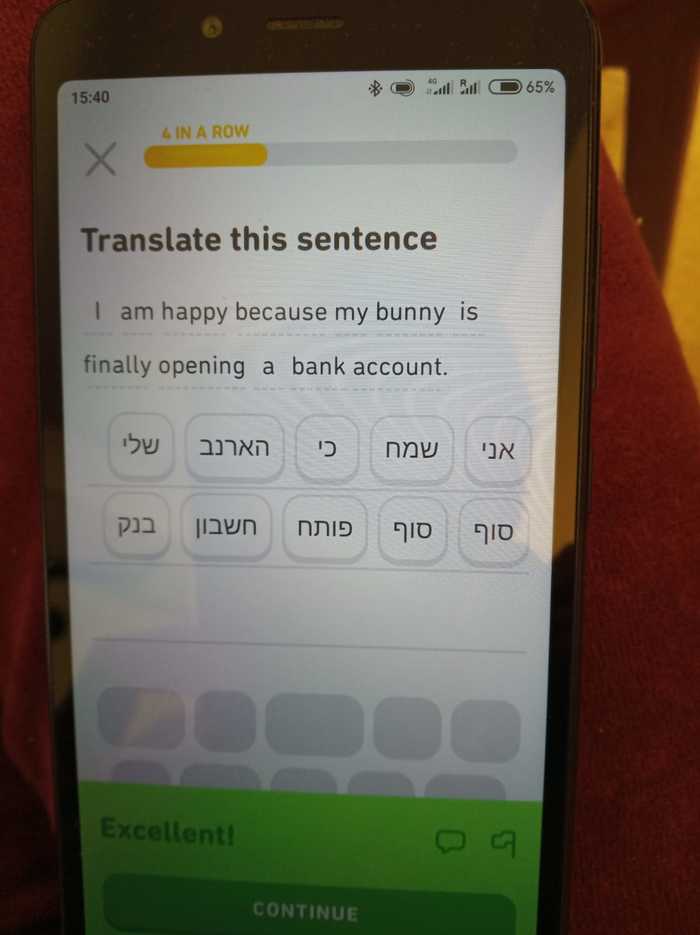 Дуолинго, как отдельный вид искусства Duolingo, Скриншот, Перевод, Юмор, Длиннопост