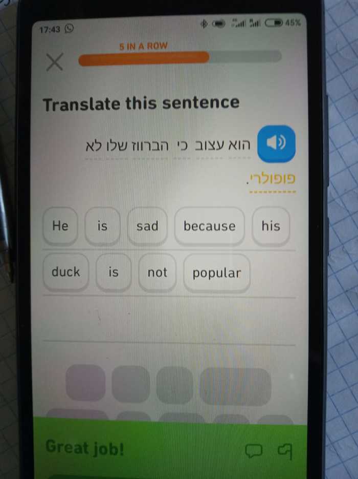 Дуолинго, как отдельный вид искусства Duolingo, Скриншот, Перевод, Юмор, Длиннопост