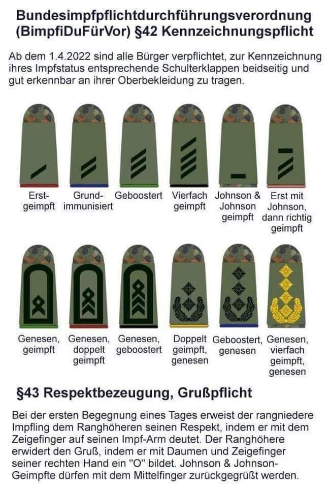 Harsh German humor - Germany, Humor, Vaccination, Coronavirus, Military rank, Military salute, Longpost, Shoulder straps