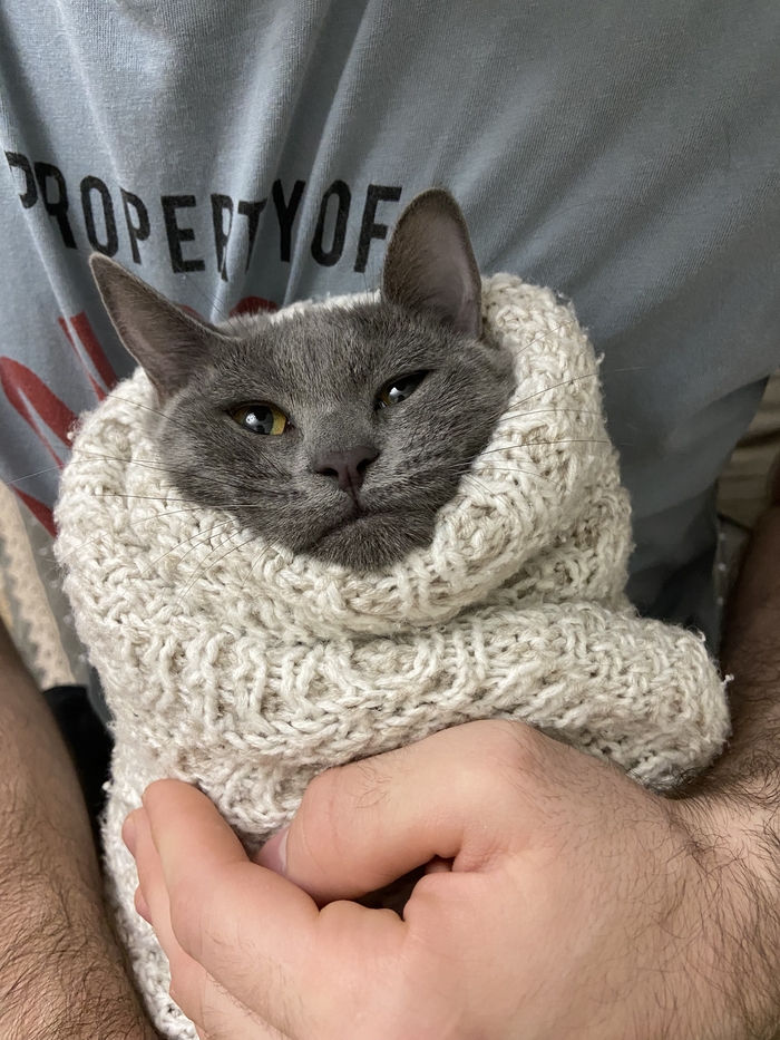 ���� ������, ��������