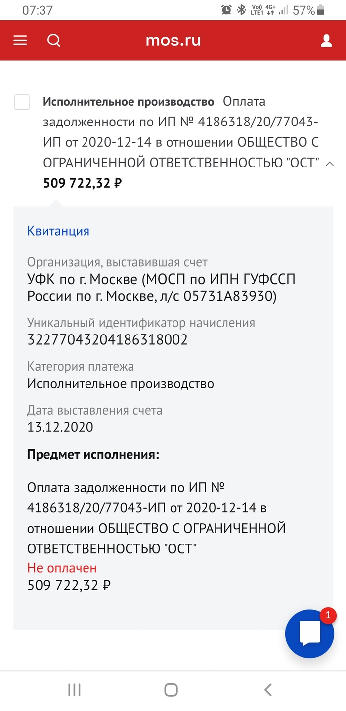 Повесили чужой долг ФССП, Долг, Длиннопост, Без рейтинга