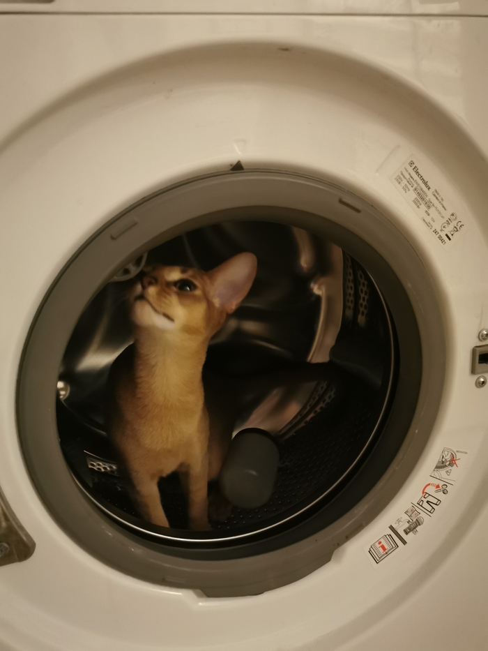     ,  ,  , 