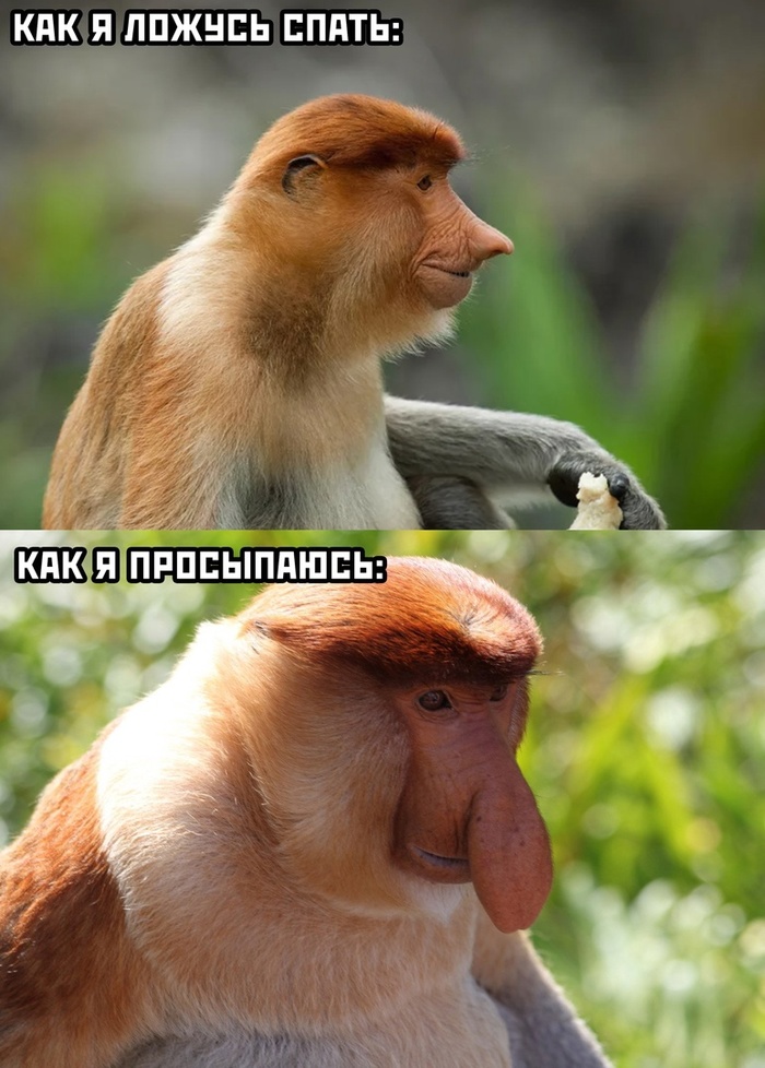     , , , ,   