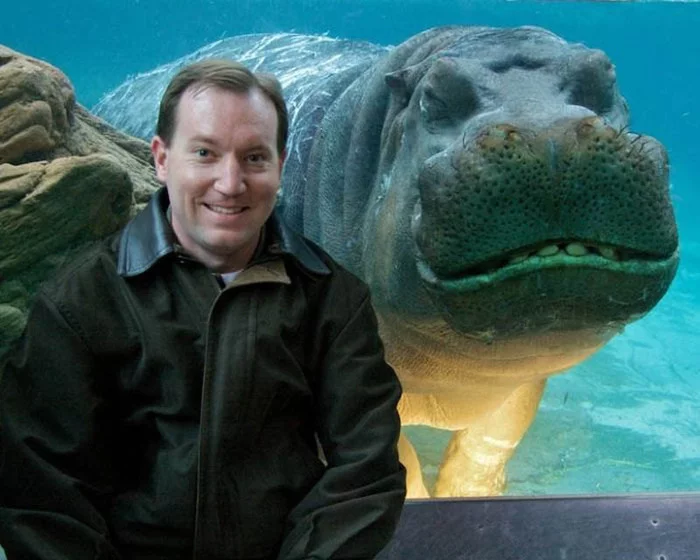 There will always be someone who will spoil the photo - The photo, hippopotamus, Humor, Animals, Zoo, Under the water