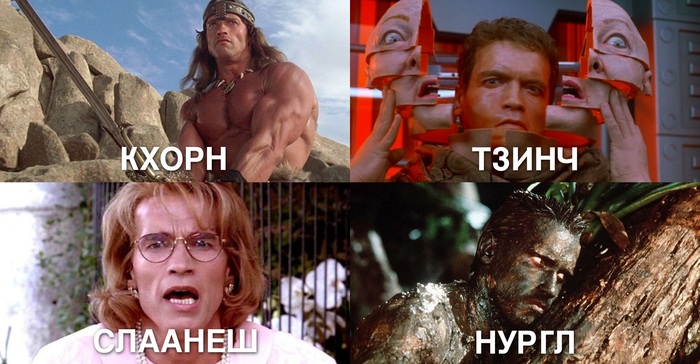 Арнольд чемпион Хаоса Неделимого