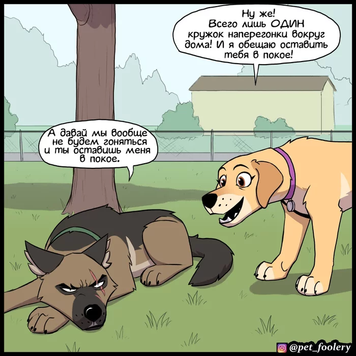 Dog Fucks Lola Comics - Posts with tag Brutus and Pixie, page 12 - pikabu.monster