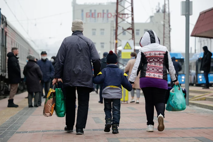 Belgorod region and refugees from the DPR and LPR - Belgorod, Belgorod region, Shebekino, LPR, DPR, Donbass, Longpost