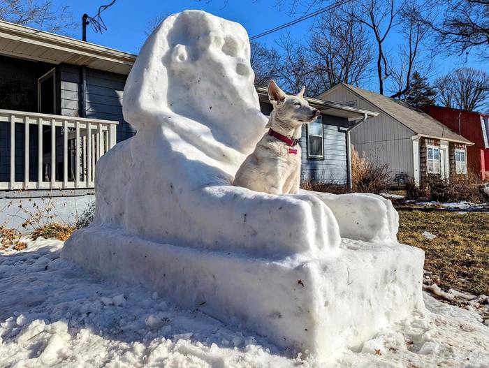 What an epic dog... - Sphinx, Snow figures, Dog, Milota, Pets