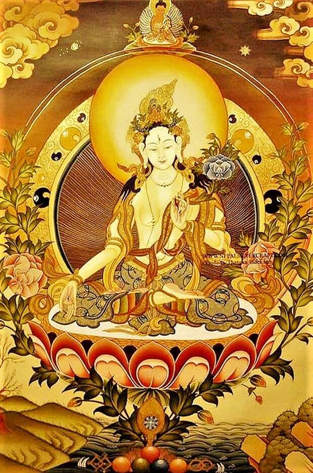 ����� ���� � ������ �����