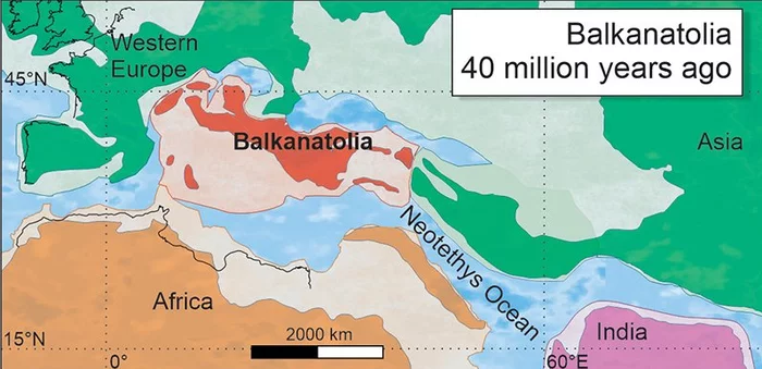 40 million years ago from Asia to Europe got with a transplant in the Balkana - Paleontology, Interesting, Informative, Story, Research, Fossil, Eocene, Mammals, Nauchpop, Geology, Asia, Europe, Africa, Longpost