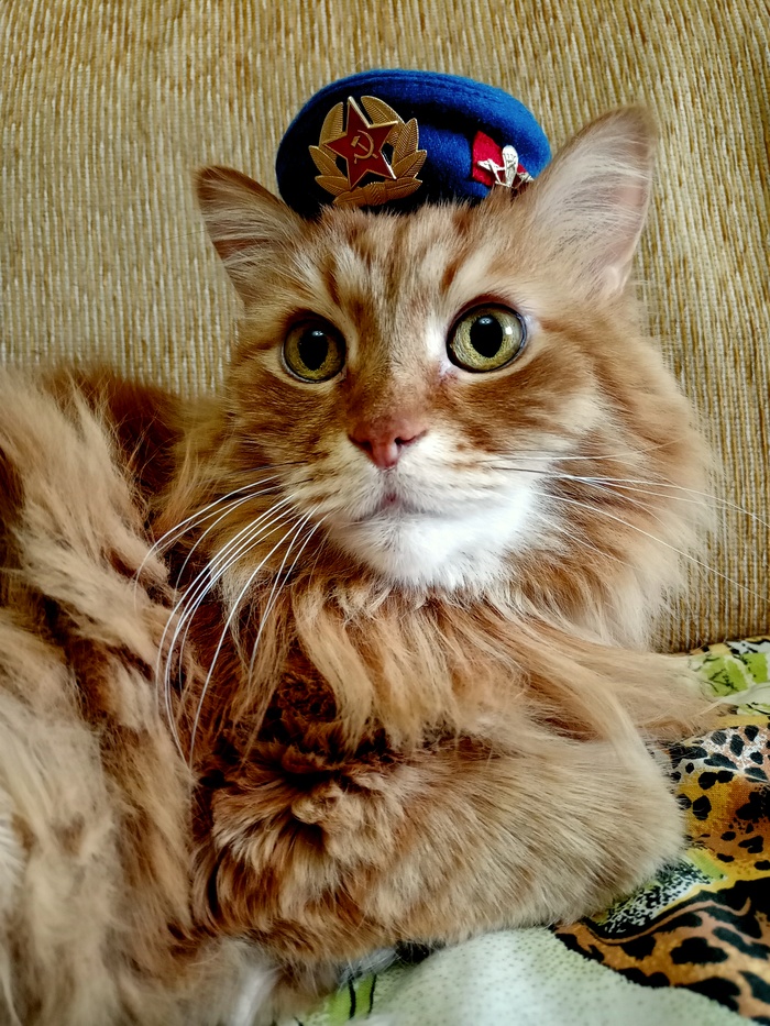 � ����������!