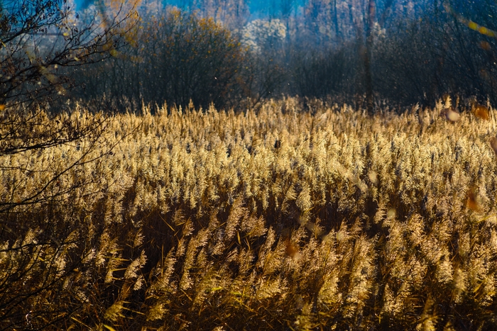 �������� ������