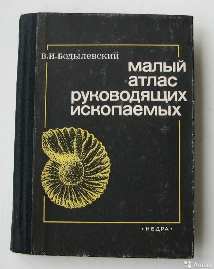 Обожаю букинистику