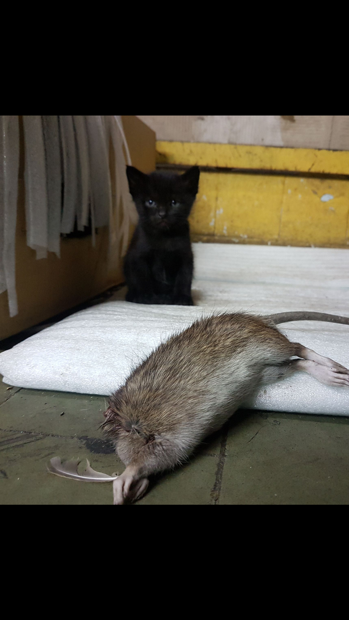 ��� �� �!) ���� ��������!