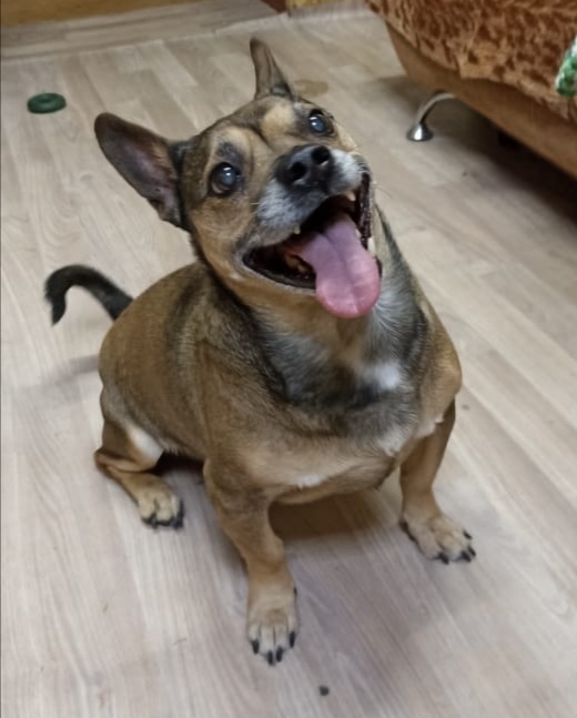 Китайская подделка