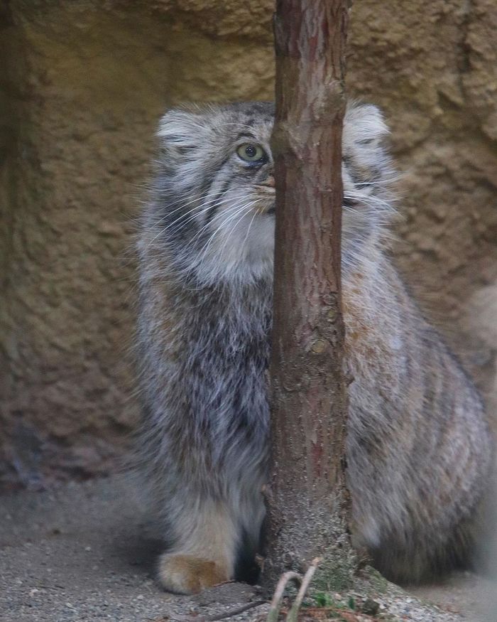 � ���������, �� ���������