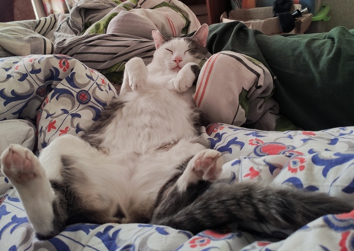 ����� �� ���� ���������� � ���������)�