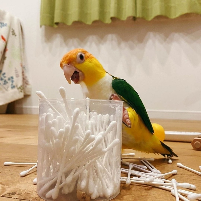  ,  , , 