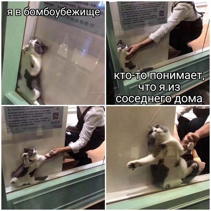 - ,  ,  ,   ,  , 