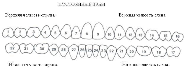 Закладка в десне - Моё, Зубы, Стоматология, Флюс