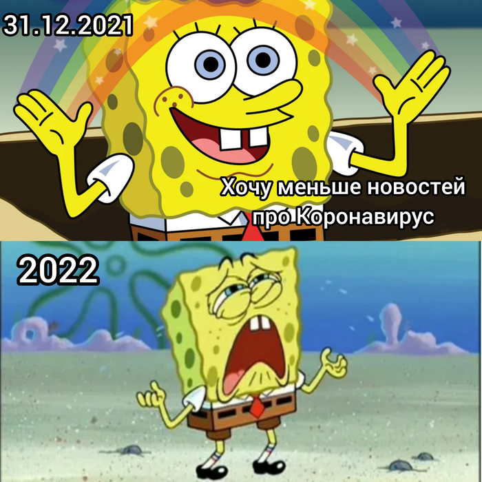2022 год