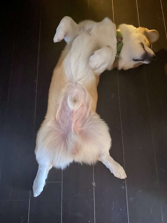         , , ,   ,   