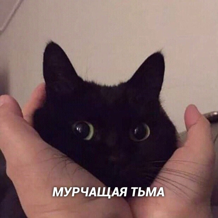 ����, ����������