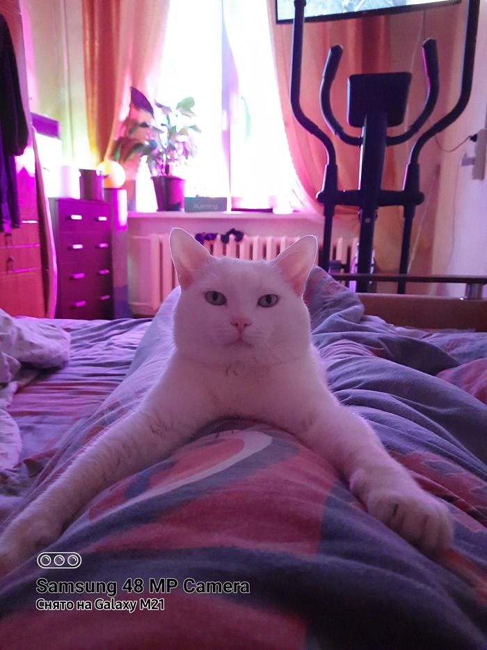 ������� 12 ���