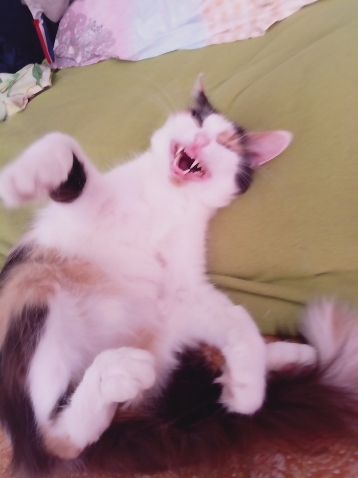 � ����� �� ����: "� ���������� ������ � �� ��� �����"