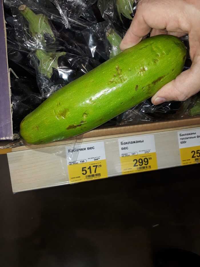 Zucchini for 517 rubles per kg - My, Politics, Media and press, State Duma, Prices, Zucchini, Vegetables, High prices