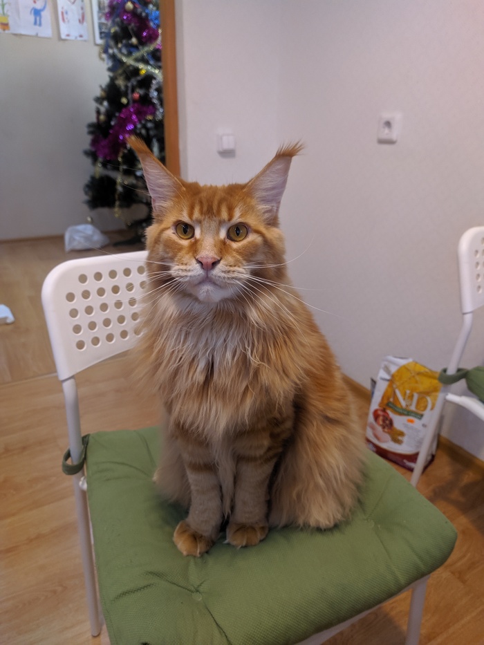   , -, 