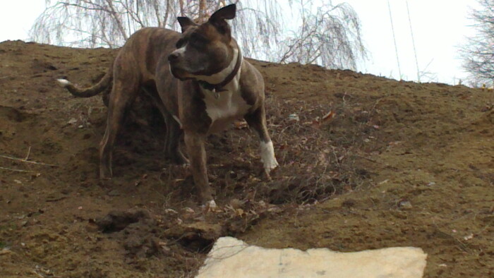 Хорошая девочка!