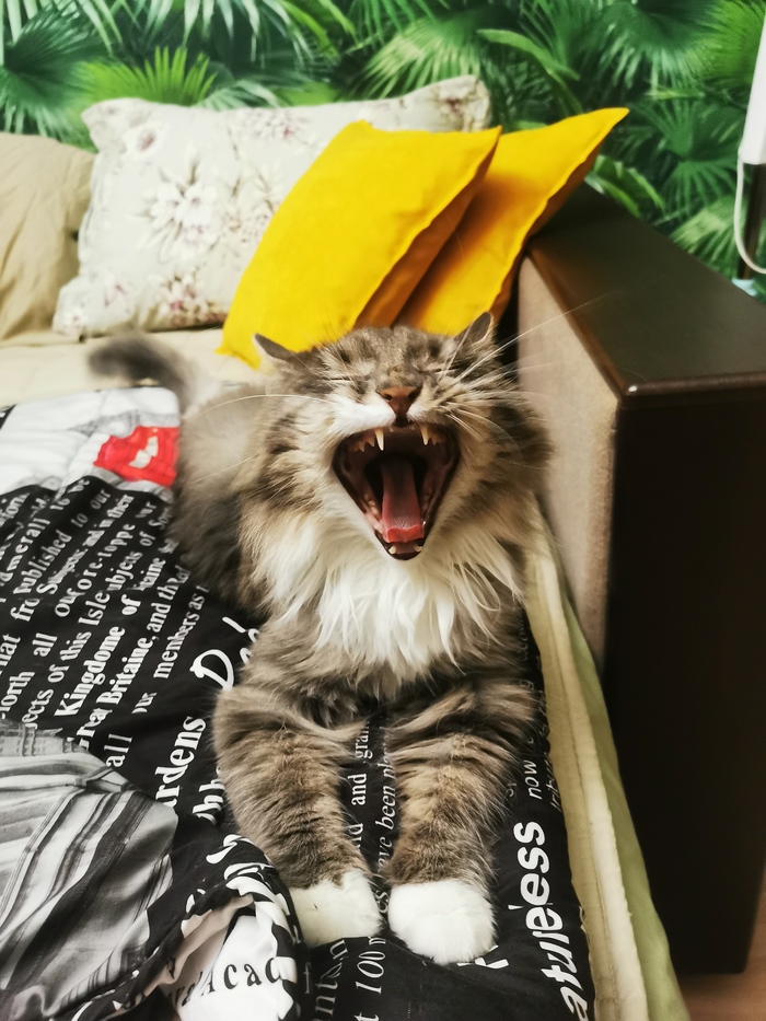 ����� �� ���� "�� ������� ����-�� ����������"